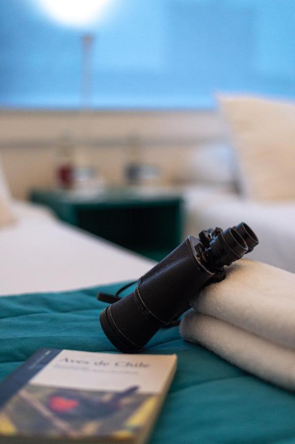 Hostal Boutique Terra Antarctica ปุนตาอาเรนาส ภายนอก รูปภาพ